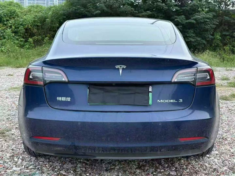 衡阳20年特斯拉MODEL 38