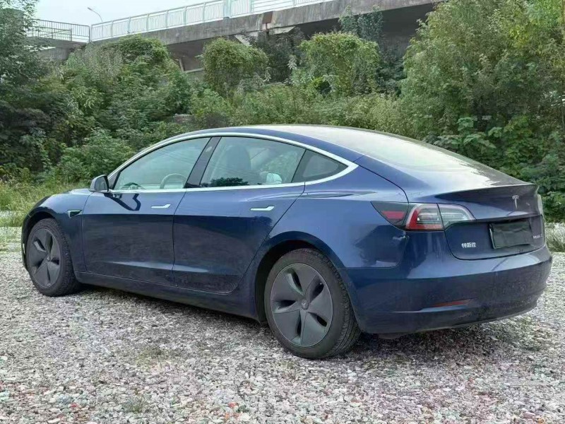 衡阳20年特斯拉MODEL 39
