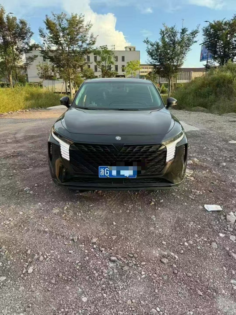 菏泽23年启辰大V1