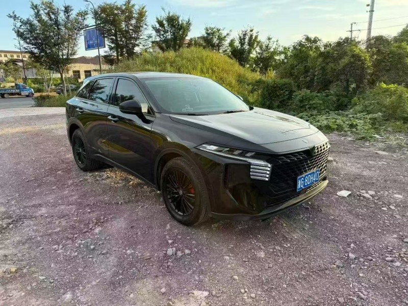 菏泽23年启辰大V2