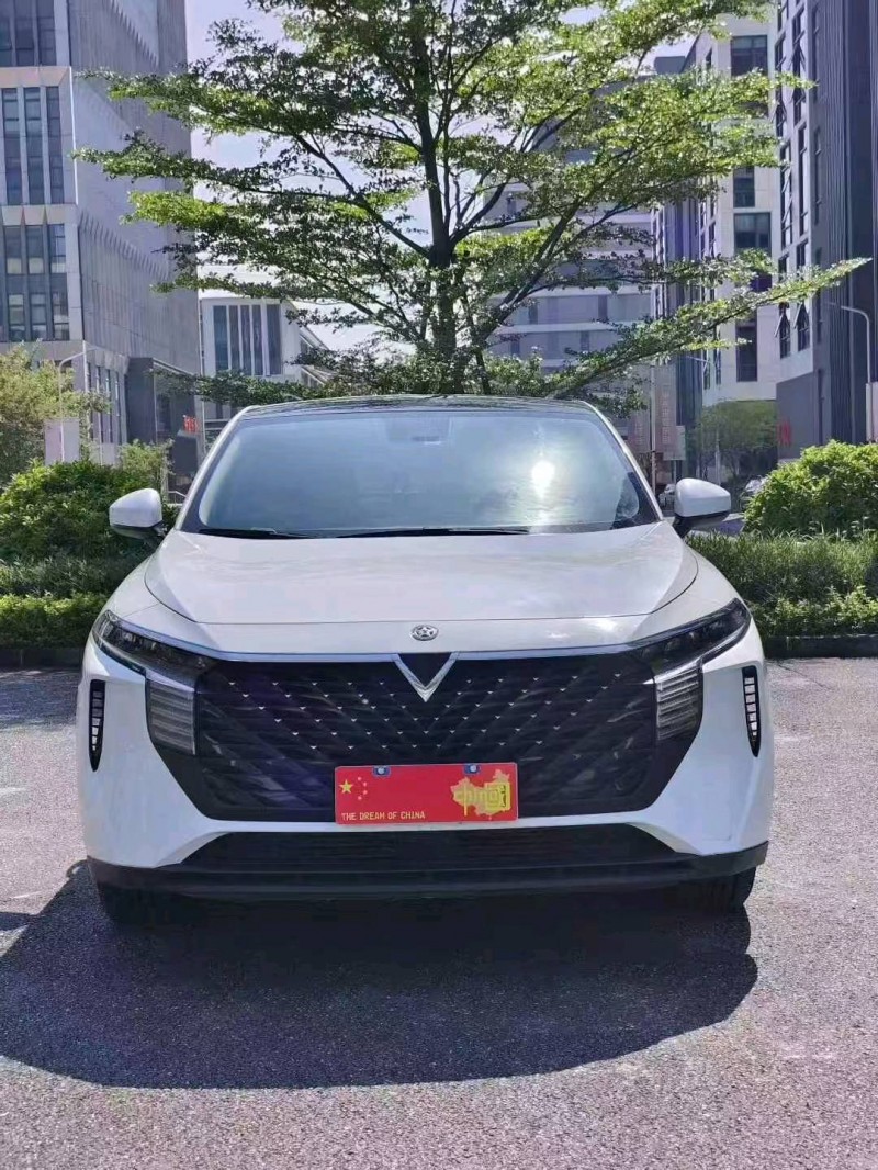 广州22年启辰大V1