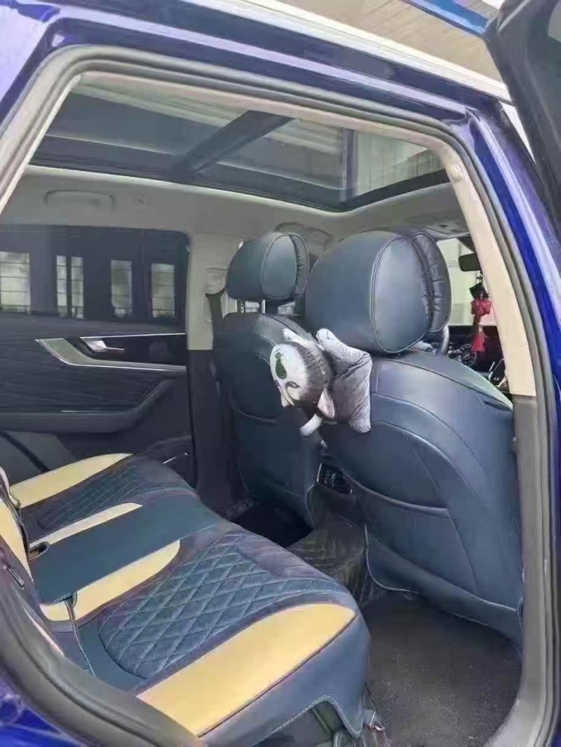 菏泽21年红旗HS53