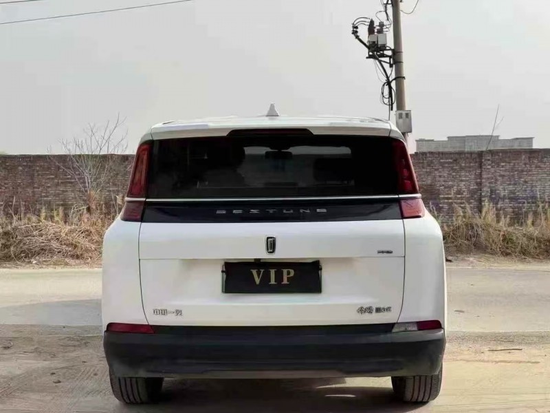 菏泽24年奔腾nat9