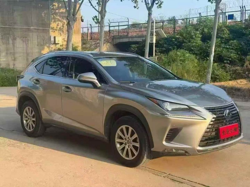 安阳19年雷克萨斯NX2