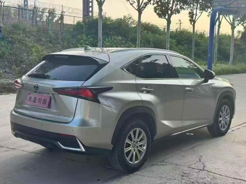 安阳19年雷克萨斯NX7