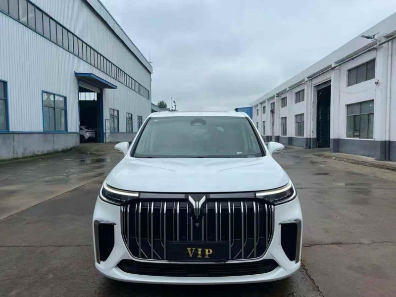 徐州25年岚图汽车梦想家1