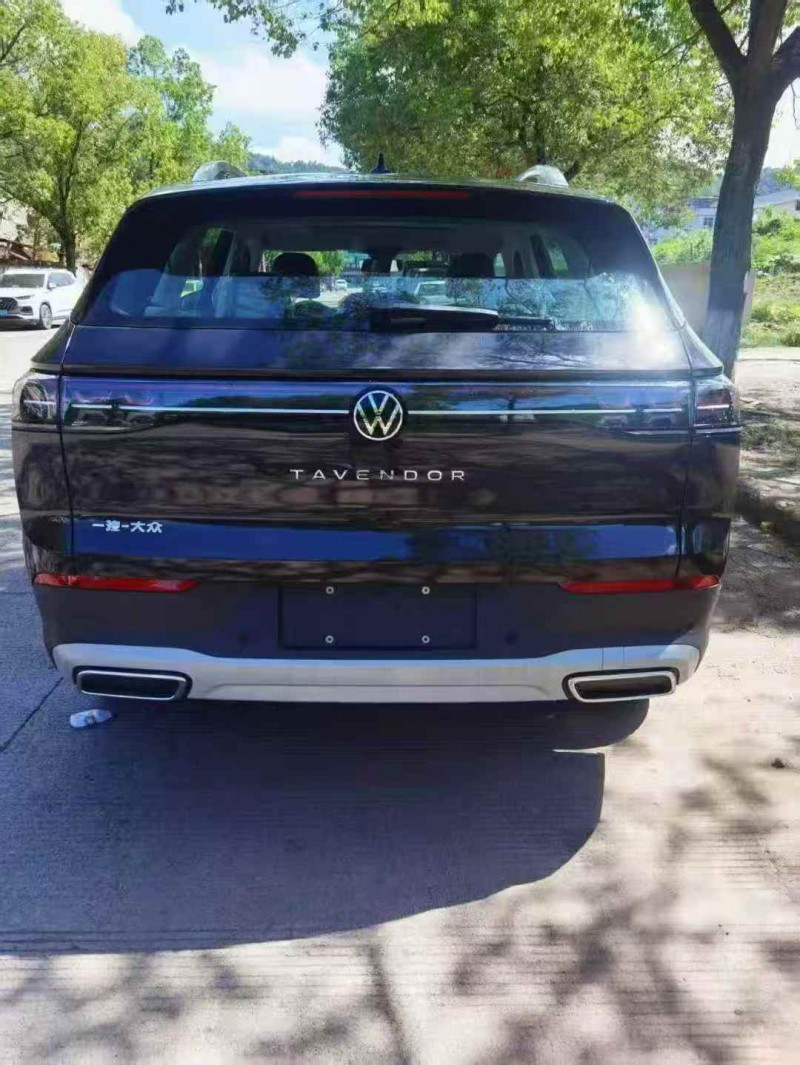 嘉兴25年大众揽巡9