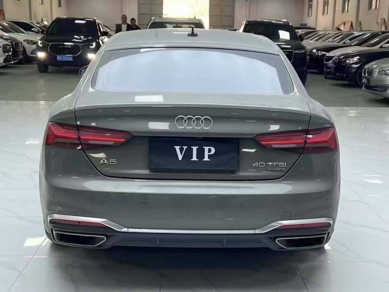 廊坊23年奥迪A59