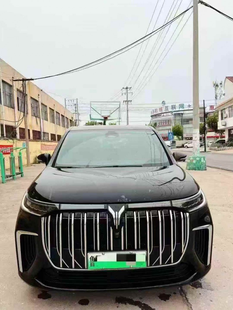 枣庄25年岚图汽车梦想家1