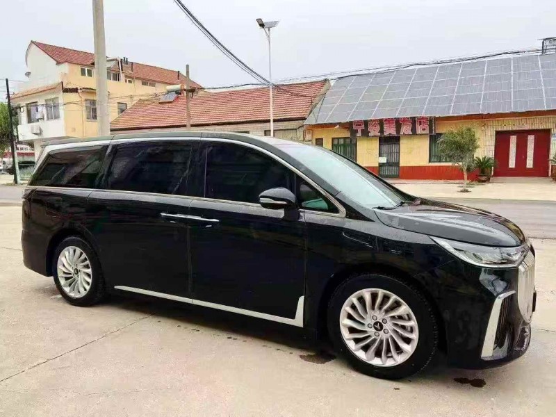 枣庄25年岚图汽车梦想家3