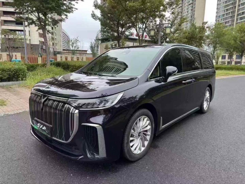 苏州24年岚图汽车梦想家3