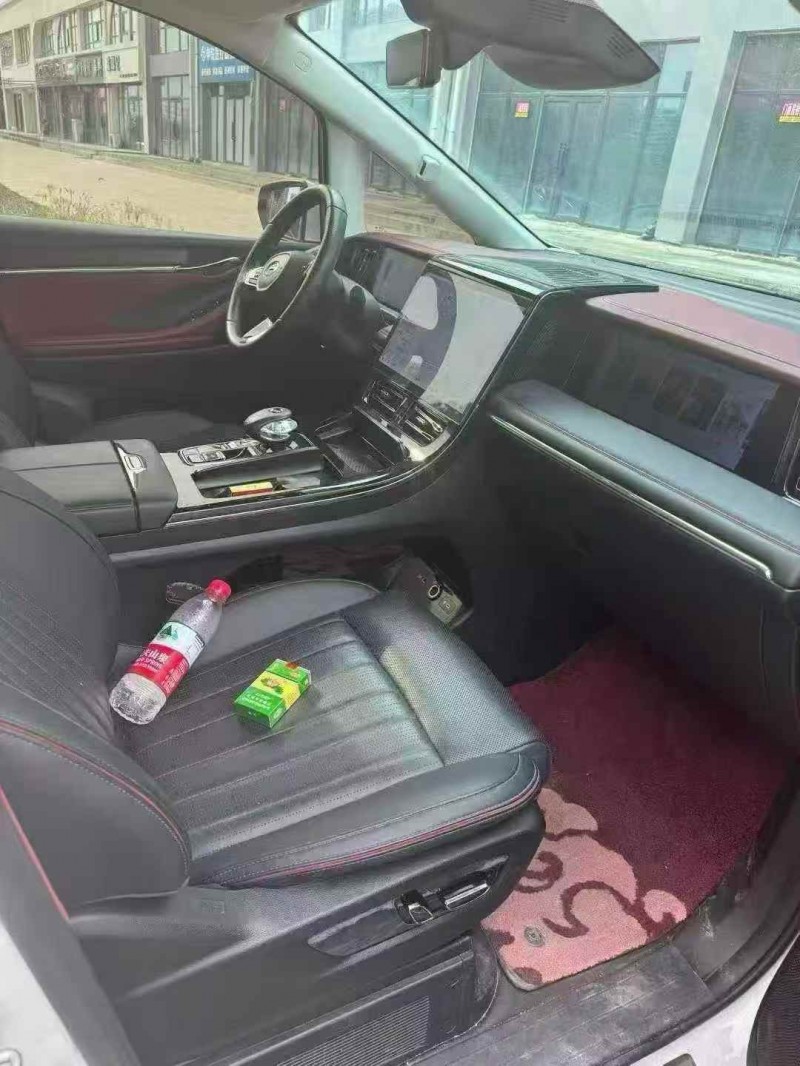 洛阳24年传祺E9MAX5