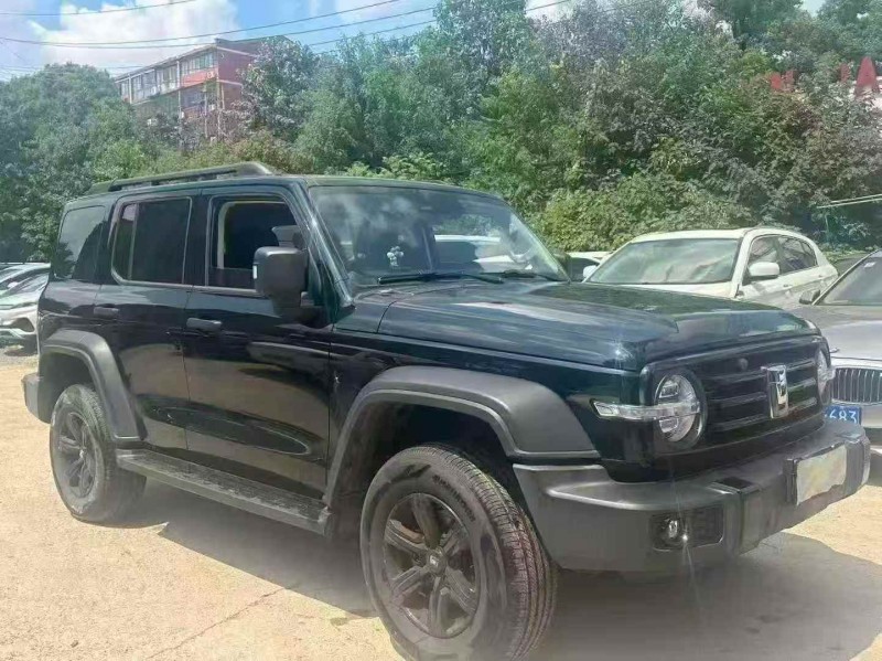 岳阳25年长城汽车坦克3