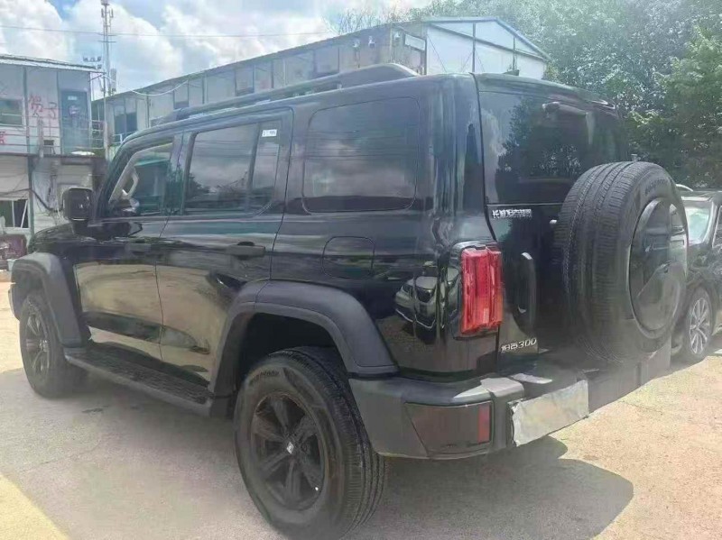 岳阳25年长城汽车坦克8