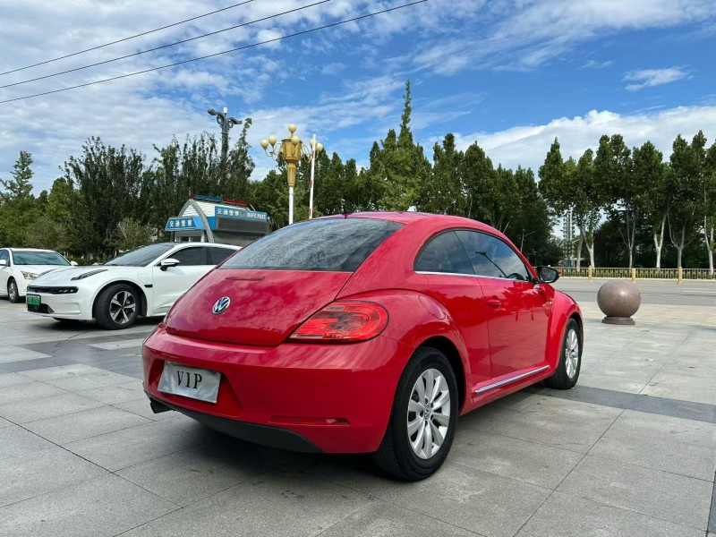 枣庄17年大众甲壳虫8