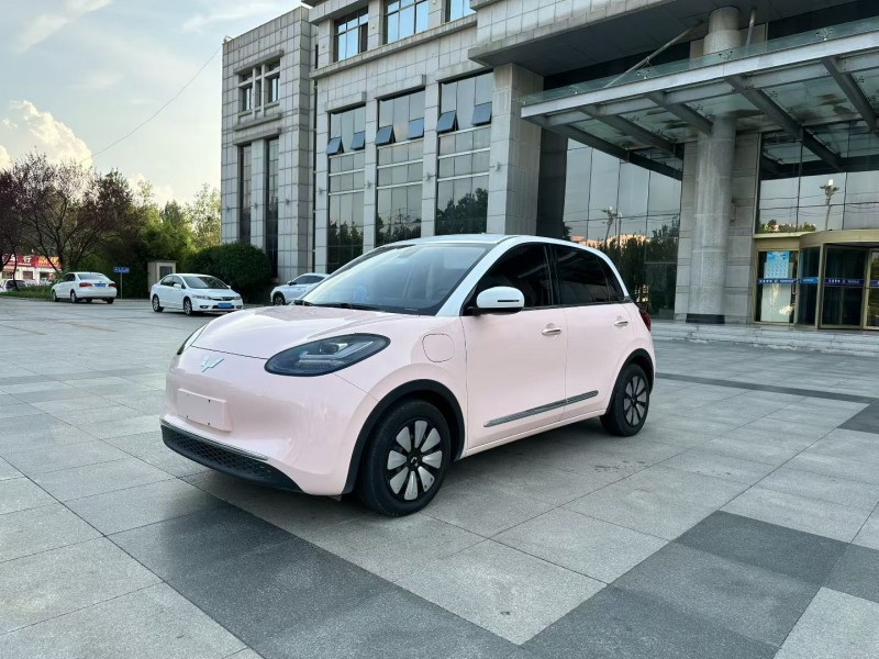 枣庄24年五菱汽车缤果2