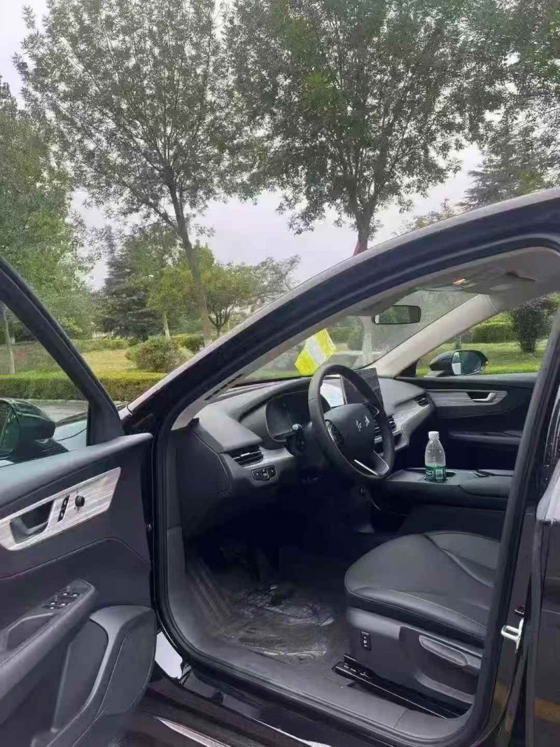 东营25年红旗E-QM55