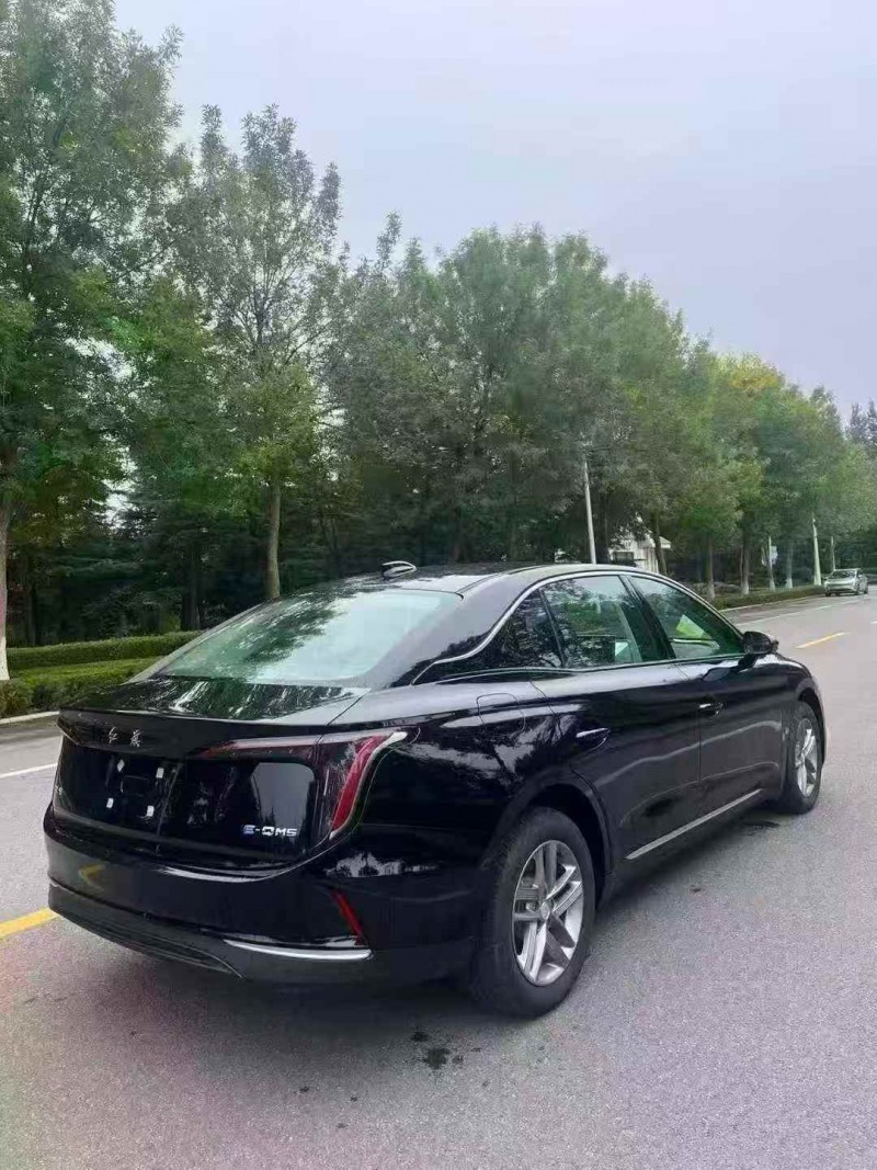 东营25年红旗E-QM58