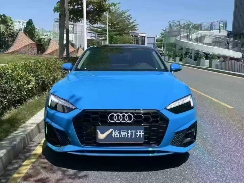 深圳22年奥迪A51