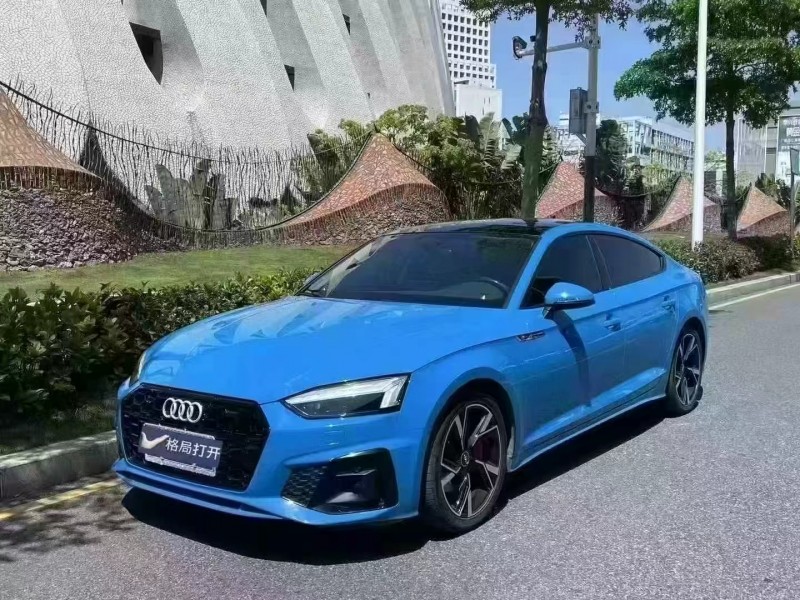 深圳22年奥迪A53