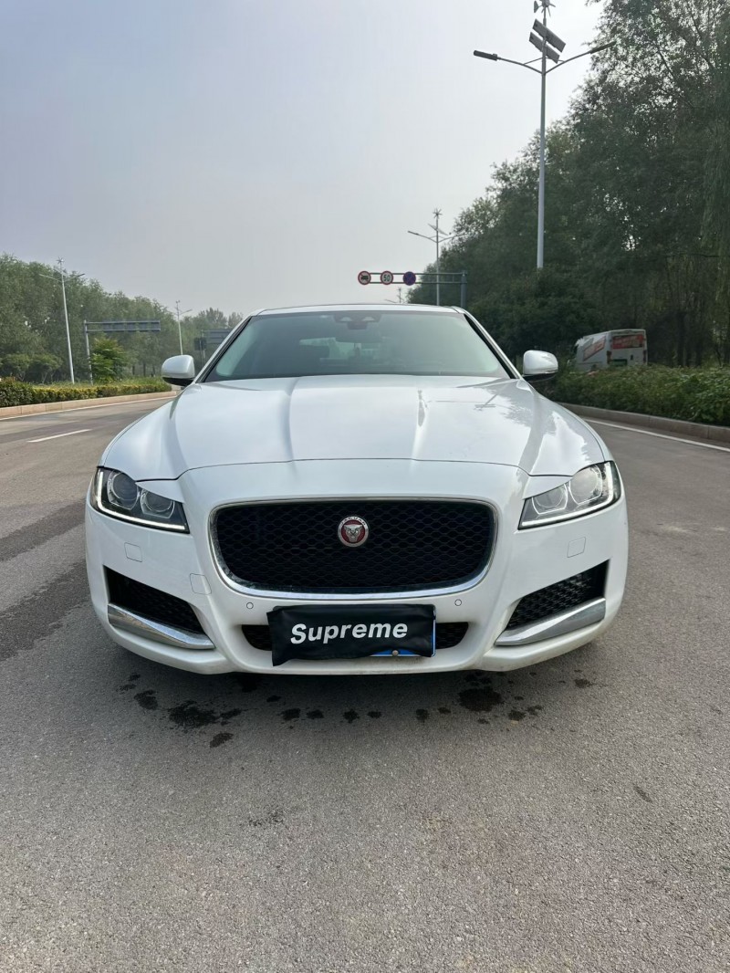 枣庄17年捷豹XFL1