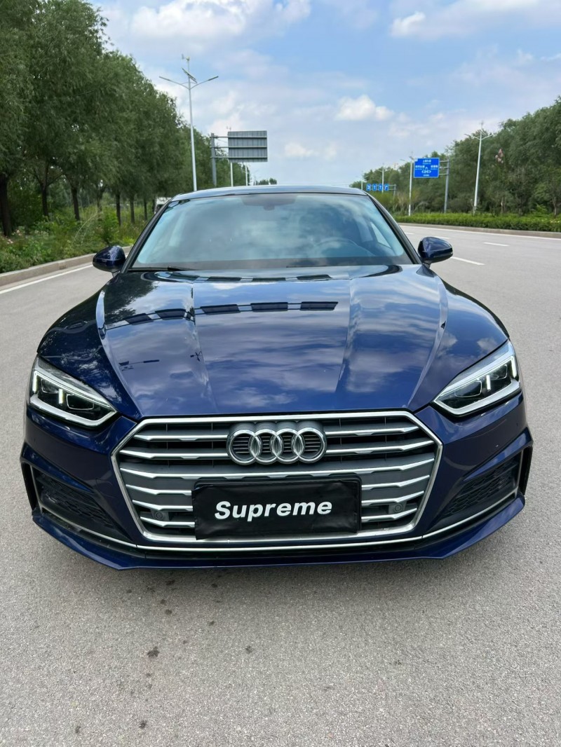 东营20年奥迪A51