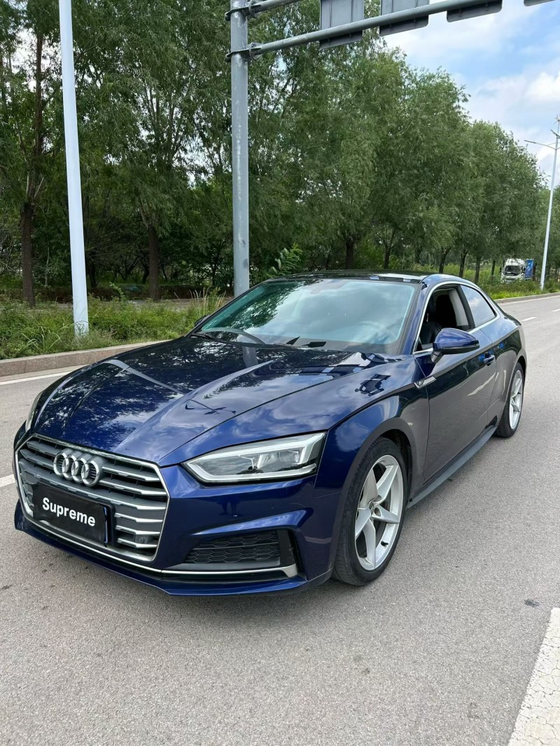 东营20年奥迪A53