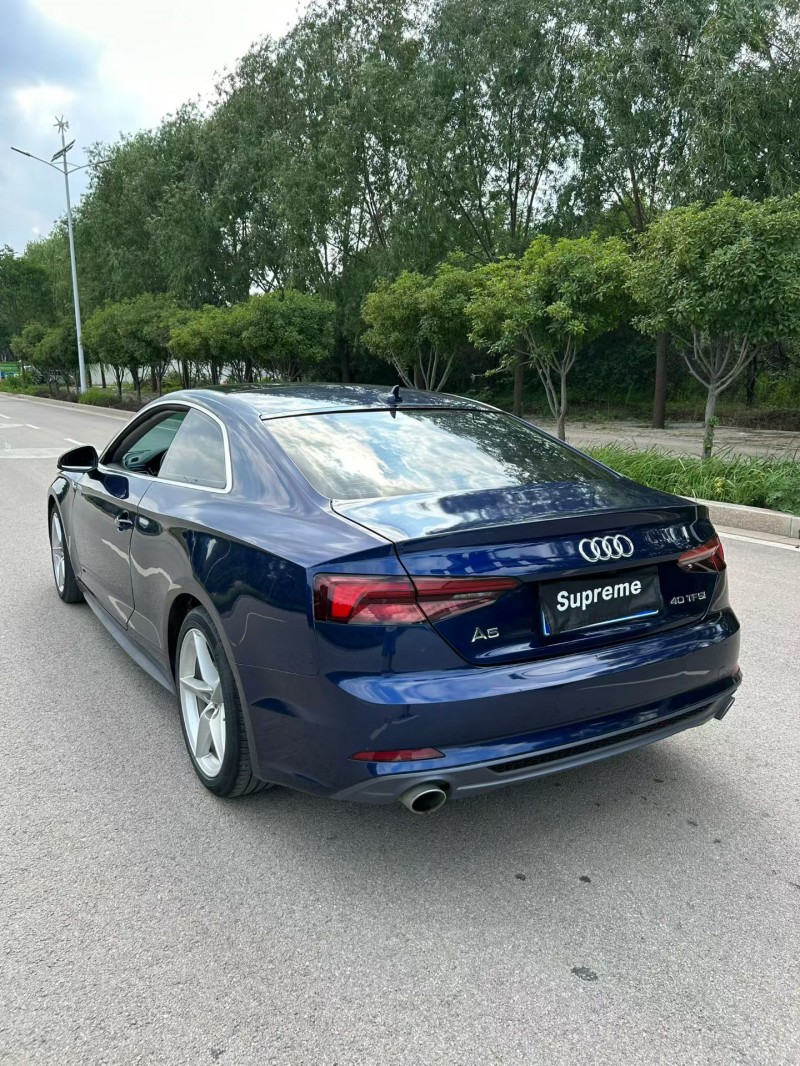 东营20年奥迪A59