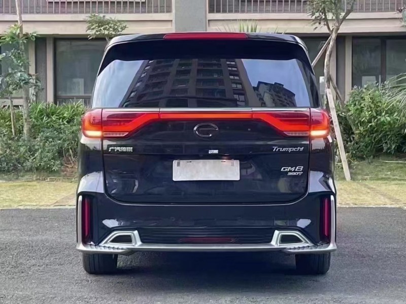 海口20年传祺M89