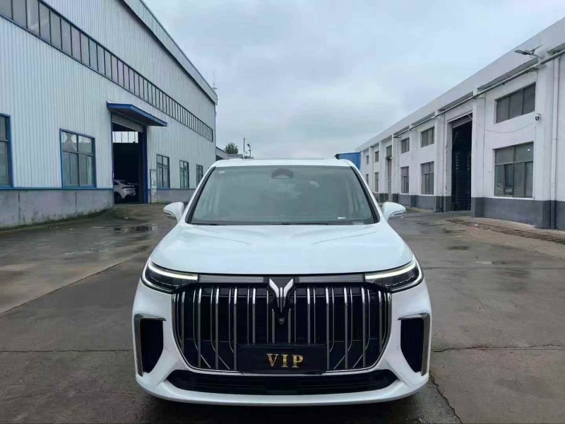 徐州25年岚图汽车梦想家1