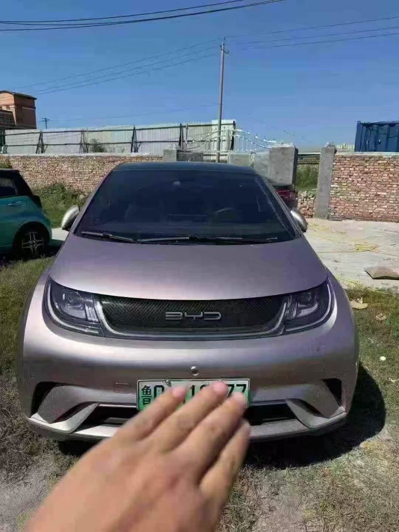 菏泽23年比亚迪海豚1