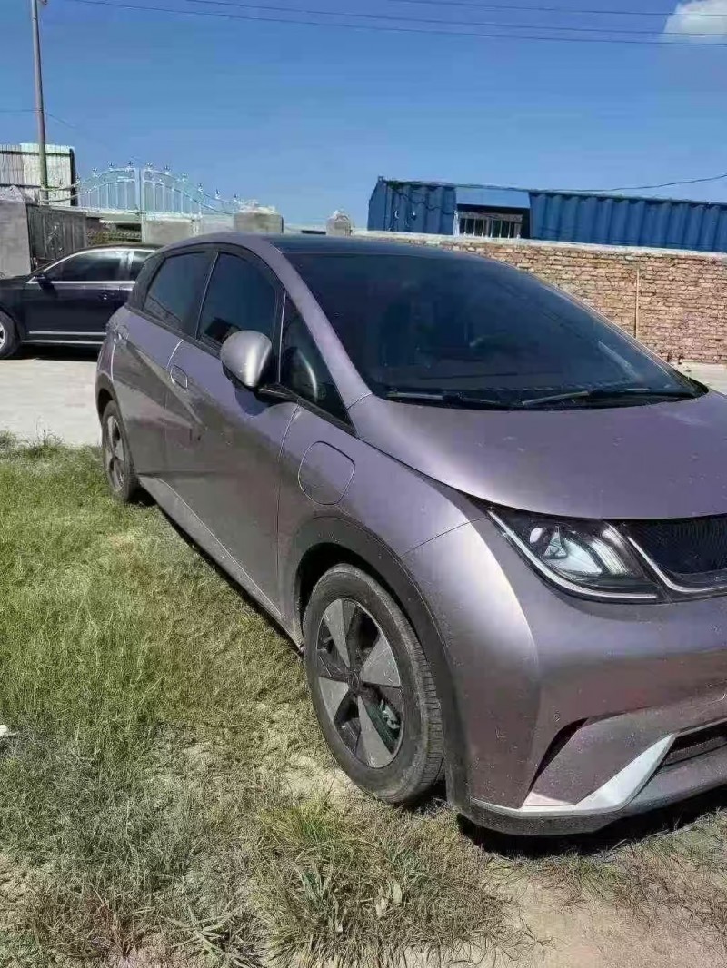 菏泽23年比亚迪海豚2