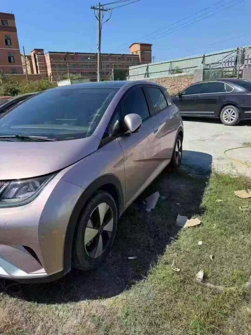 菏泽23年比亚迪海豚3