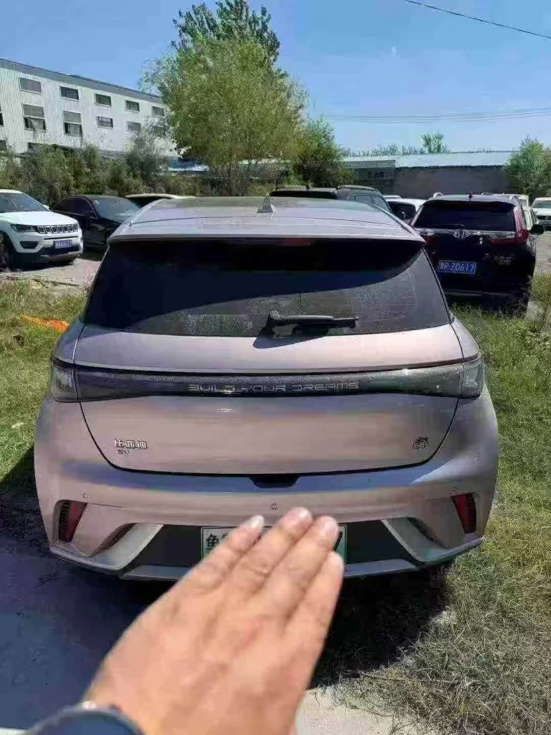 菏泽23年比亚迪海豚6