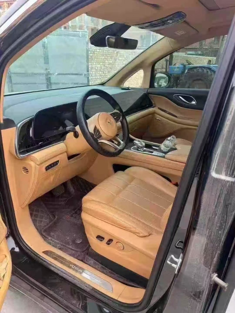 菏泽23年岚图汽车梦想家4