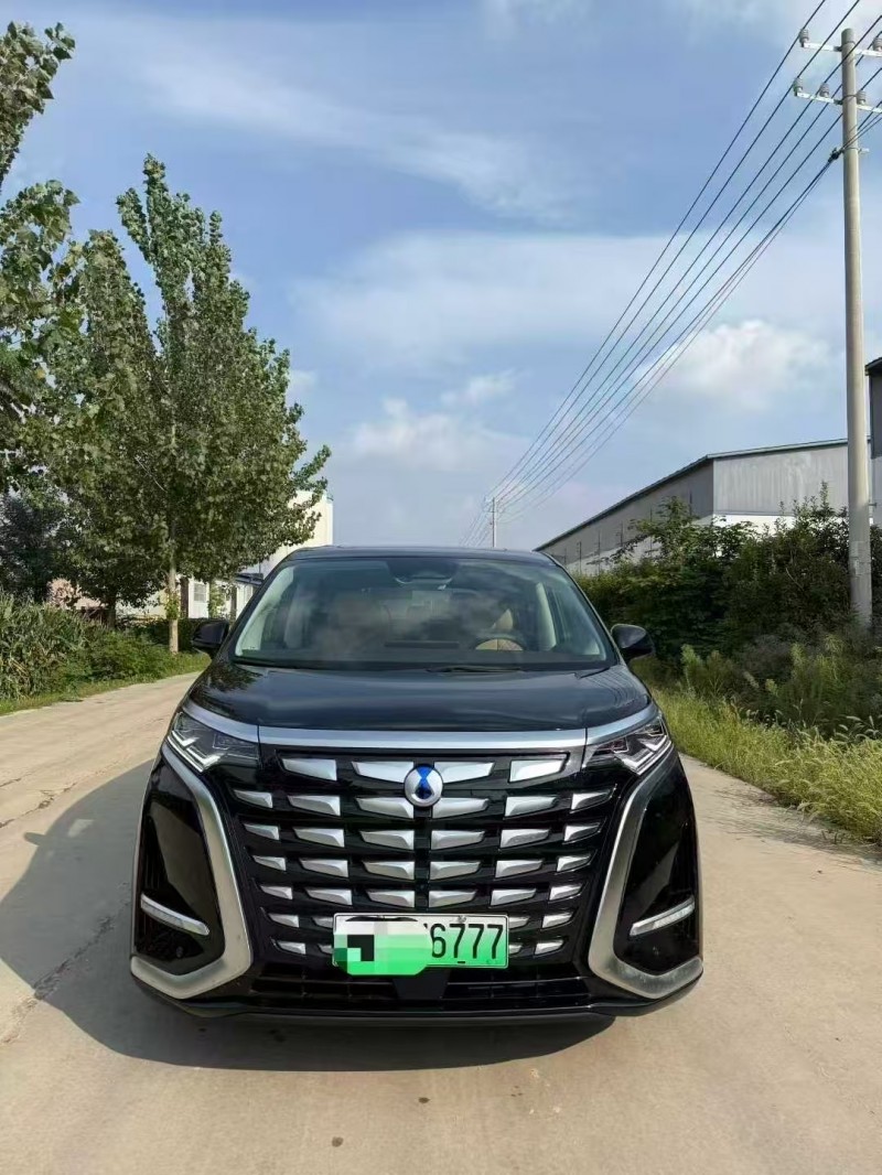 菏泽24年腾势D91