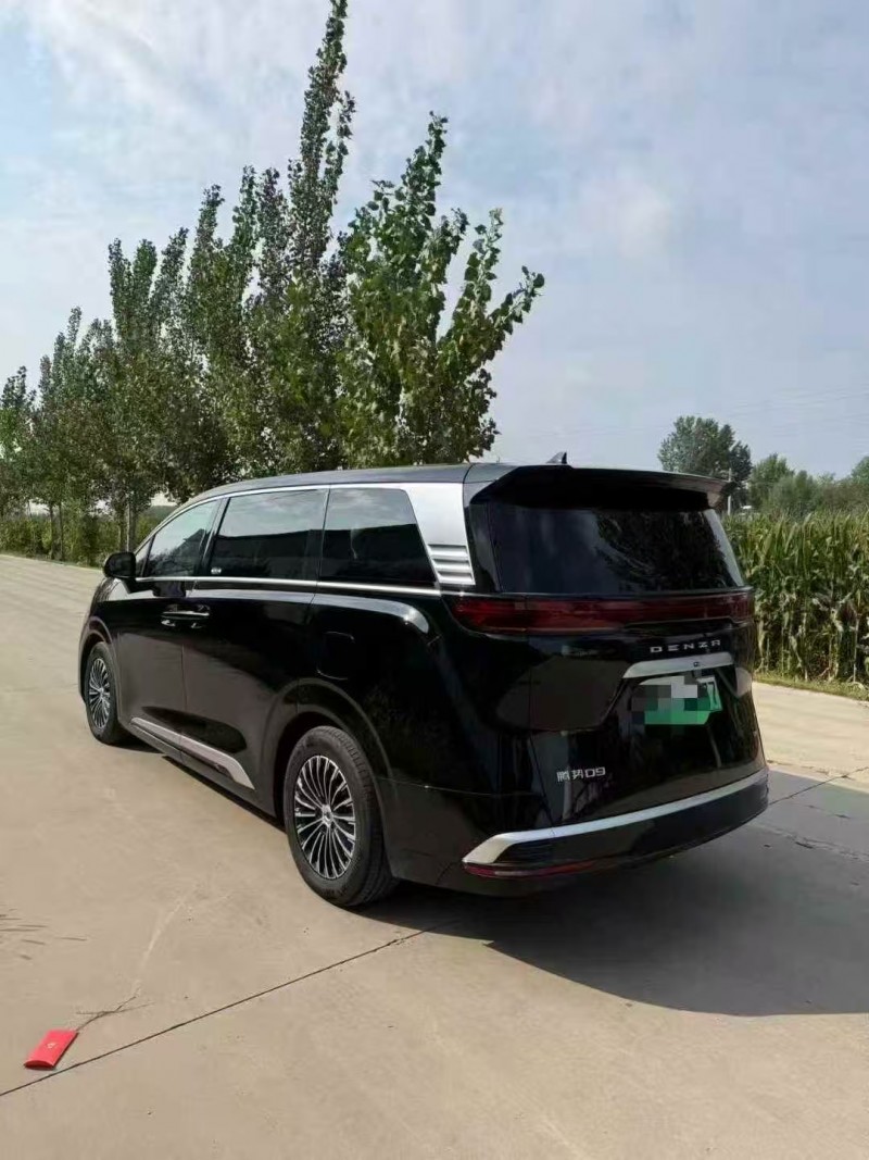 菏泽24年腾势D98