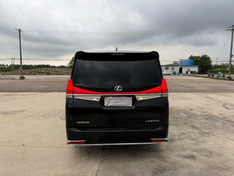 常州21年雷克萨斯LM雷尔法9
