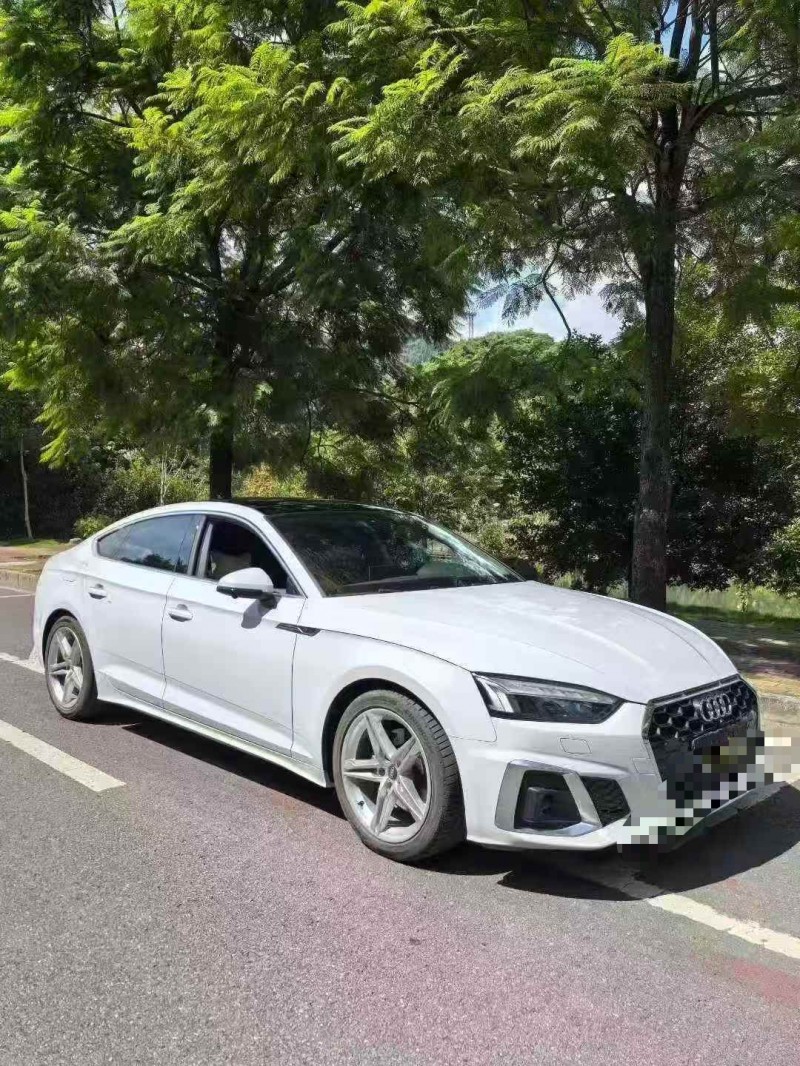 遵义24年奥迪A52