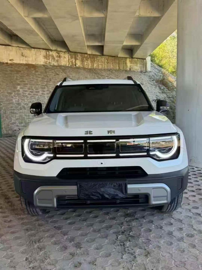 温州24年北京BJ301