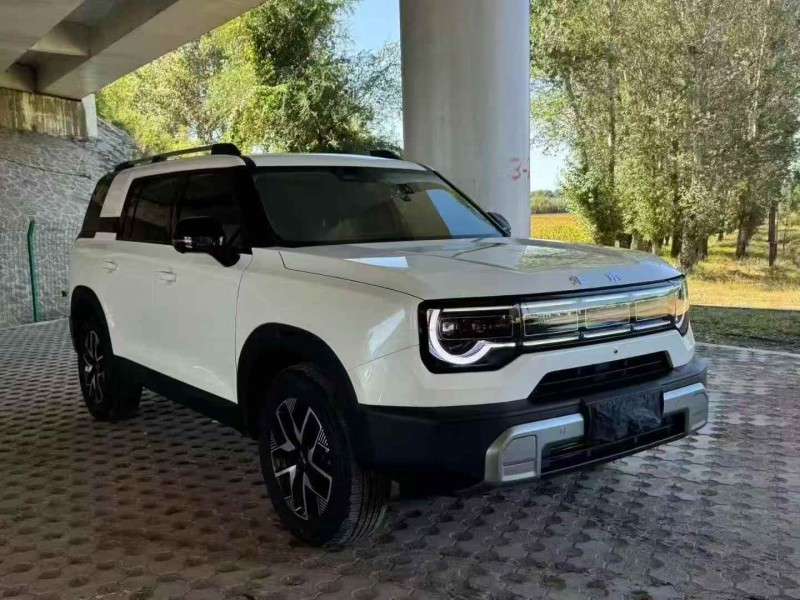 温州24年北京BJ302