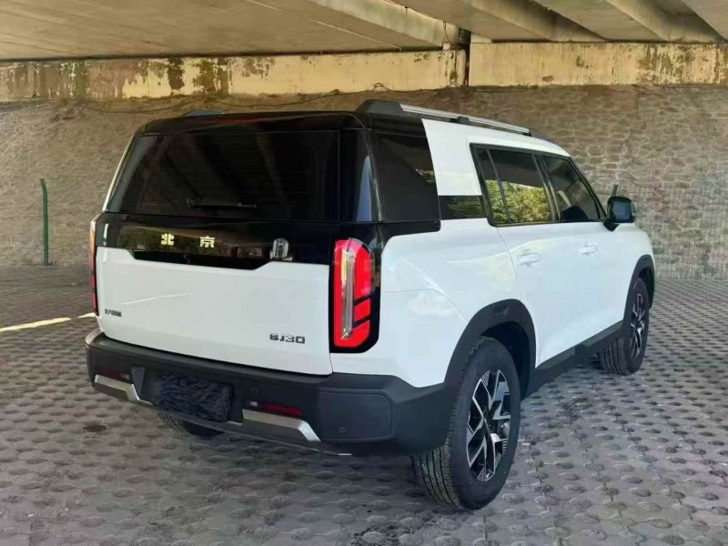 温州24年北京BJ304