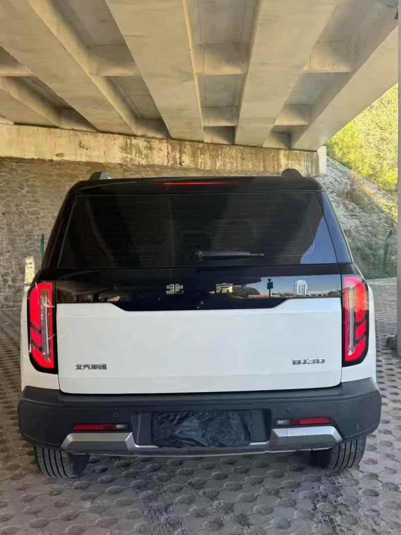 温州24年北京BJ306