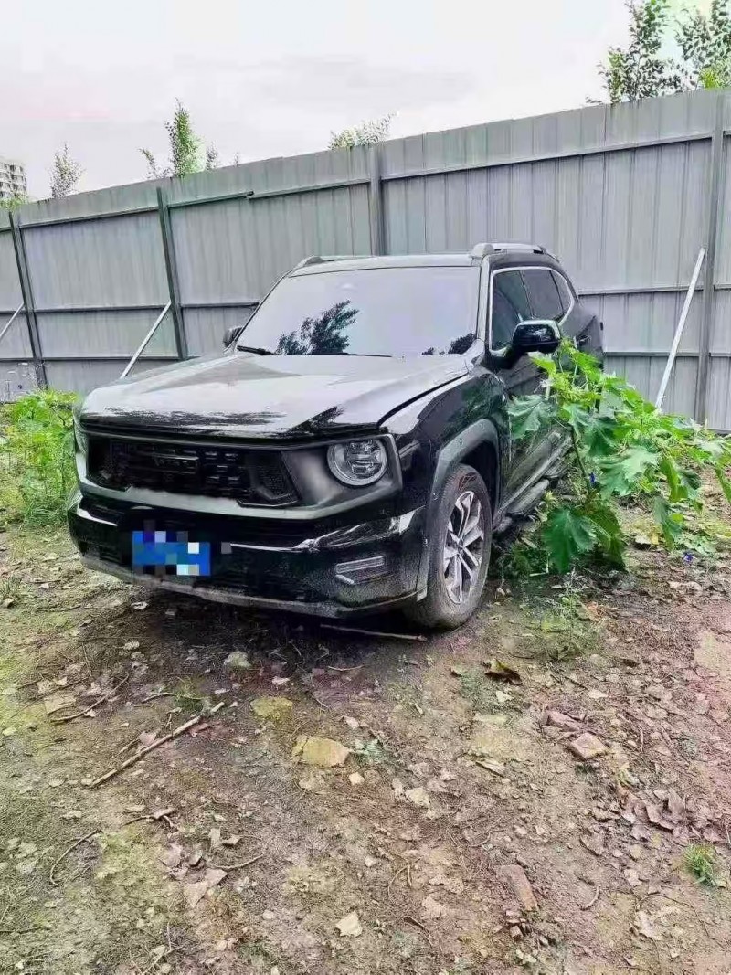 太原25年哈弗大狗2