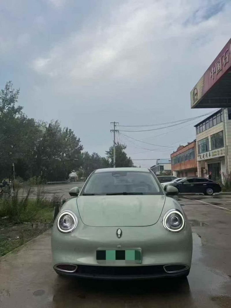 菏泽23年长城汽车欧拉1