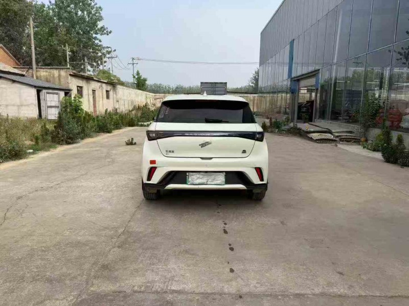 徐州23年比亚迪海豚9