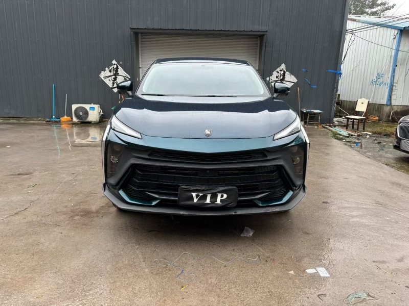 徐州24年东风风行1