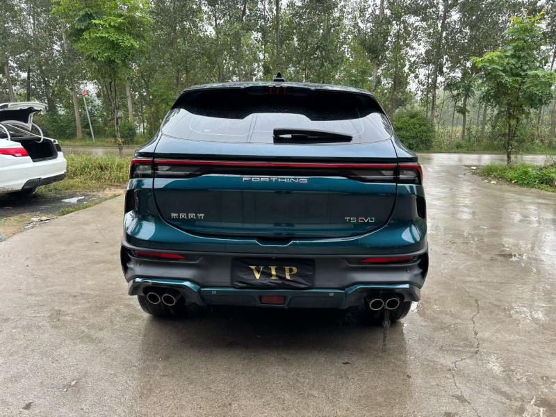 徐州24年东风风行9