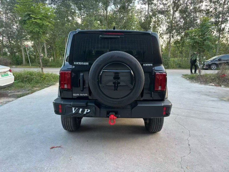 徐州24年长城汽车坦克9