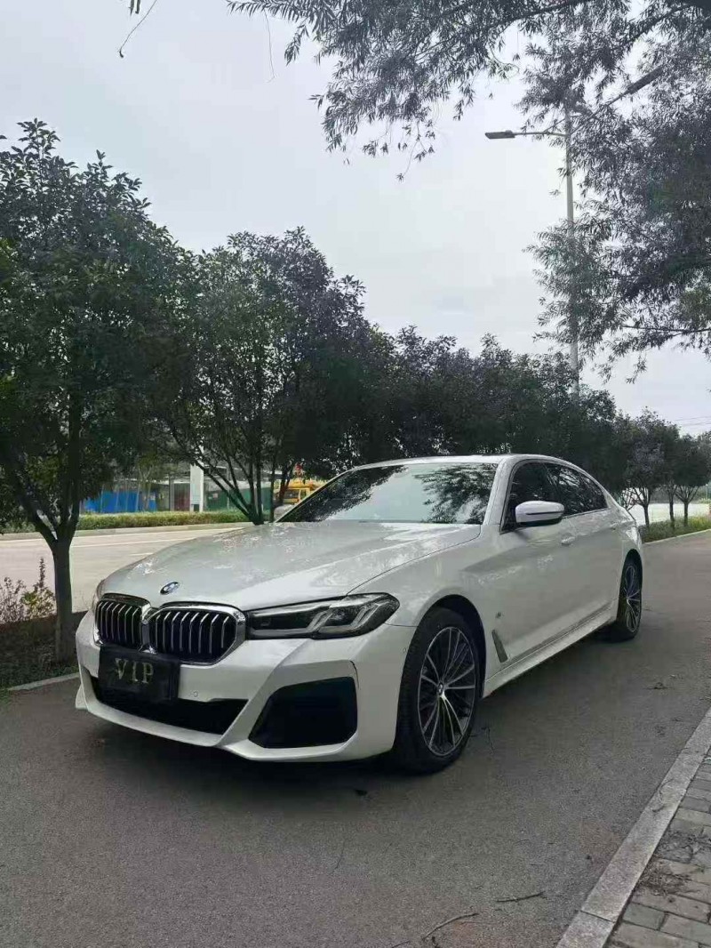 东营20年宝马5系2